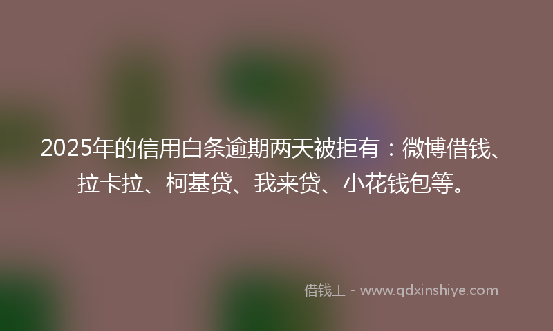 2025年的信用白条逾期两天被拒有：微博借钱、拉卡拉、柯基贷、我来贷、小花钱包等。