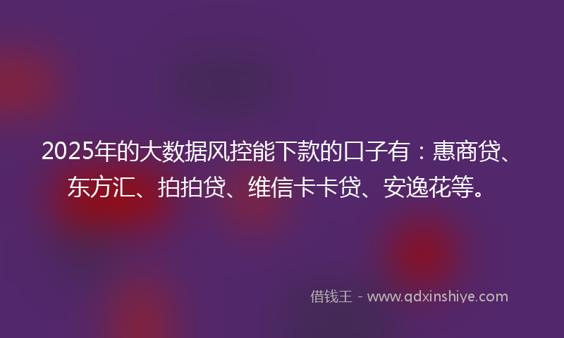 2025年的大数据风控能下款的口子有：惠商贷、东方汇、拍拍贷、维信卡卡贷、安逸花等。