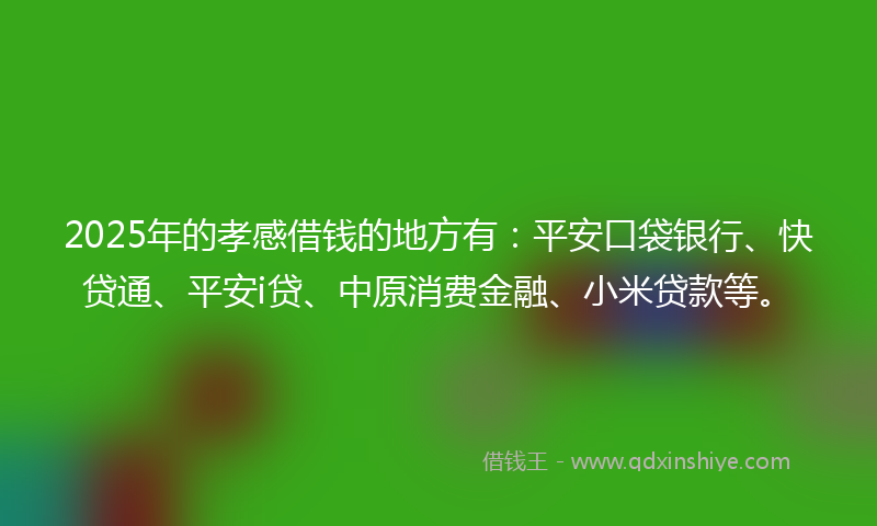 2025年的孝感借钱的地方有：平安口袋银行、快贷通、平安i贷、中原消费金融、小米贷款等。