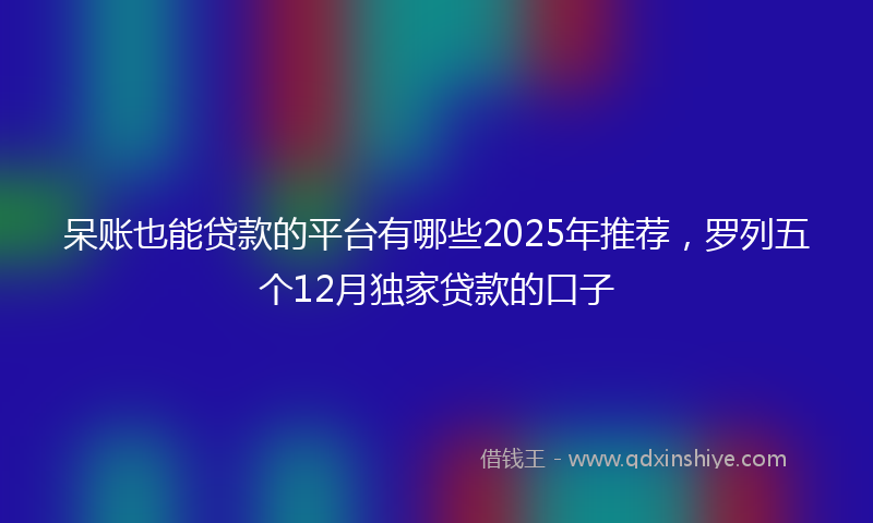 呆账也能贷款的平台有哪些2025年推荐，罗列五个12月独家贷款的口子