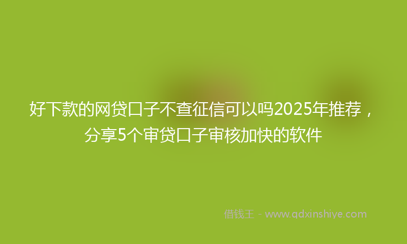 好下款的网贷口子不查征信可以吗2025年推荐，分享5个审贷口子审核加快的软件
