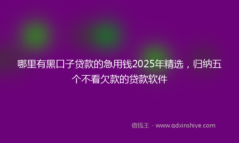 哪里有黑口子贷款的急用钱2025年精选，归纳五个不看欠款的贷款软件