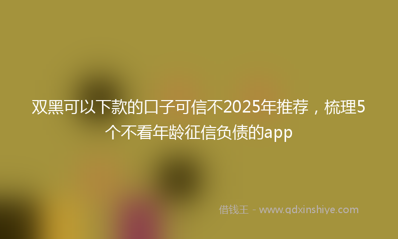 双黑可以下款的口子可信不2025年推荐，梳理5个不看年龄征信负债的app