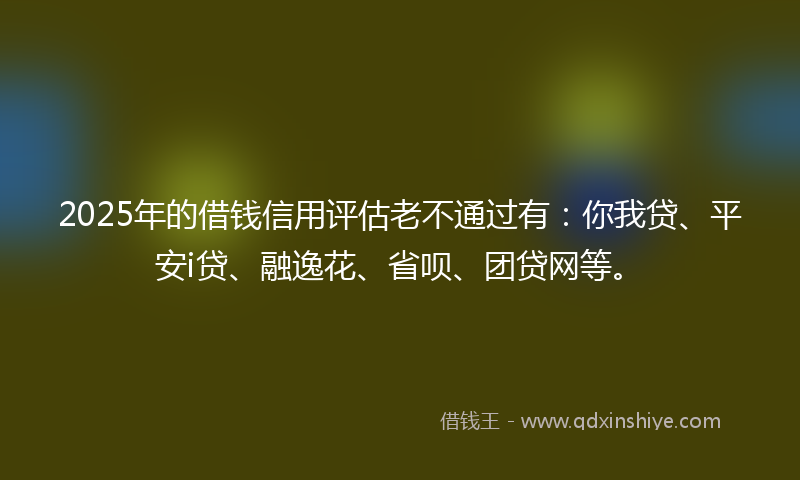 2025年的借钱信用评估老不通过有：你我贷、平安i贷、融逸花、省呗、团贷网等。