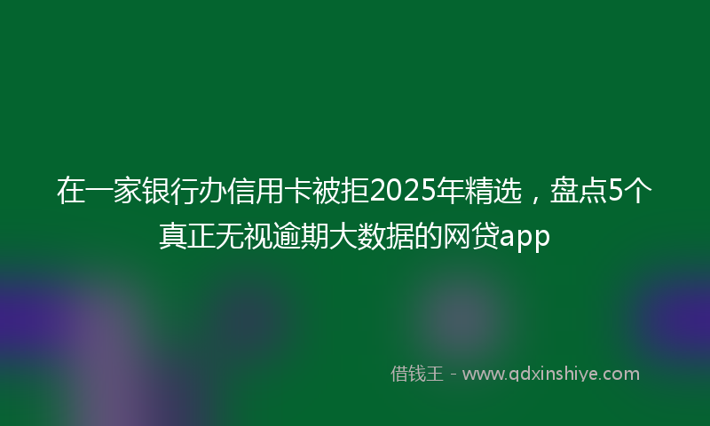 在一家银行办信用卡被拒2025年精选，盘点5个真正无视逾期大数据的网贷app
