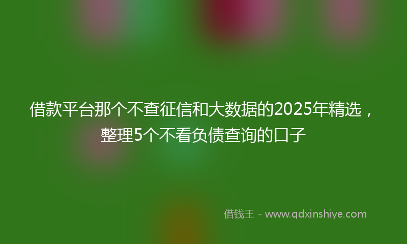 借款平台那个不查征信和大数据的2025年精选，整理5个不看负债查询的口子