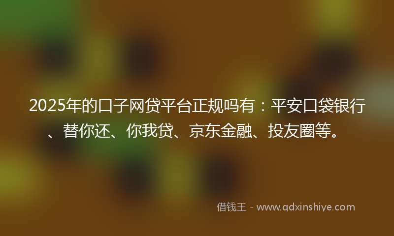 2025年的口子网贷平台正规吗有：平安口袋银行、替你还、你我贷、京东金融、投友圈等。