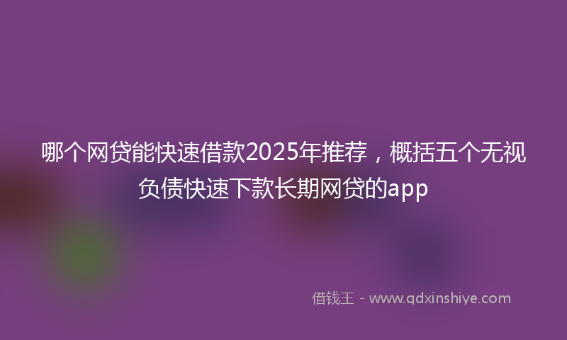 哪个网贷能快速借款2025年推荐，概括五个无视负债快速下款长期网贷的app