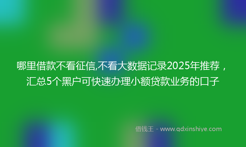 哪里借款不看征信,不看大数据记录2025年推荐，汇总5个黑户可快速办理小额贷款业务的口子