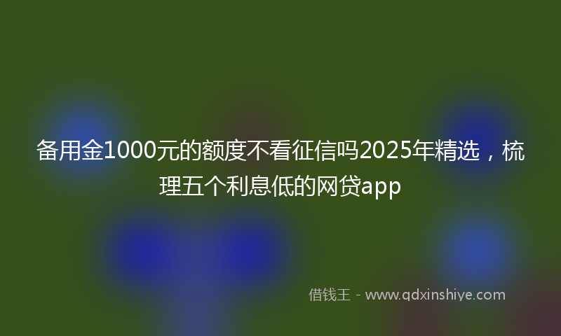 备用金1000元的额度不看征信吗2025年精选，梳理五个利息低的网贷app