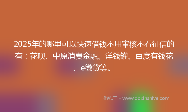 2025年的哪里可以快速借钱不用审核不看征信的有：花呗、中原消费金融、洋钱罐、百度有钱花、e微贷等。