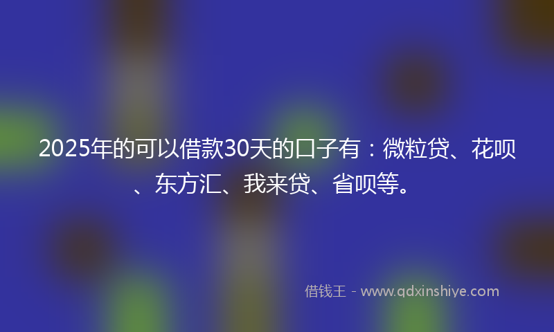 2025年的可以借款30天的口子有：微粒贷、花呗、东方汇、我来贷、省呗等。