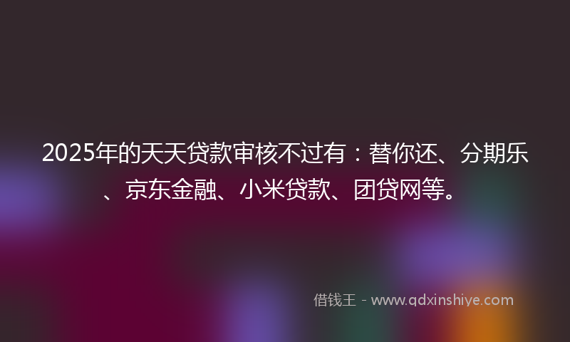 2025年的天天贷款审核不过有：替你还、分期乐、京东金融、小米贷款、团贷网等。