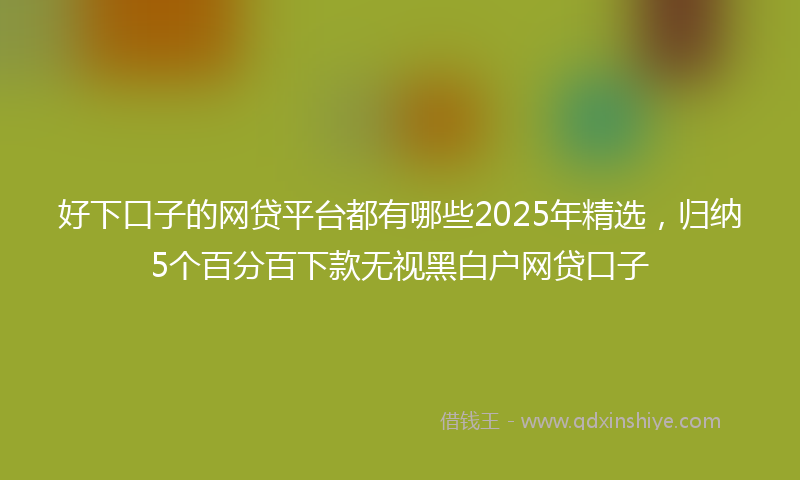 好下口子的网贷平台都有哪些2025年精选，归纳5个百分百下款无视黑白户网贷口子