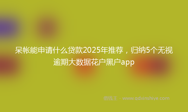 呆帐能申请什么贷款2025年推荐，归纳5个无视逾期大数据花户黑户app