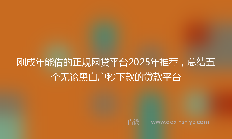 刚成年能借的正规网贷平台2025年推荐，总结五个无论黑白户秒下款的贷款平台