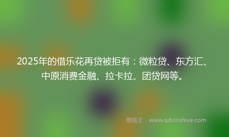 2025年的借乐花再贷被拒有：微粒贷、东方汇、中原消费金融、拉卡拉、团贷网等。