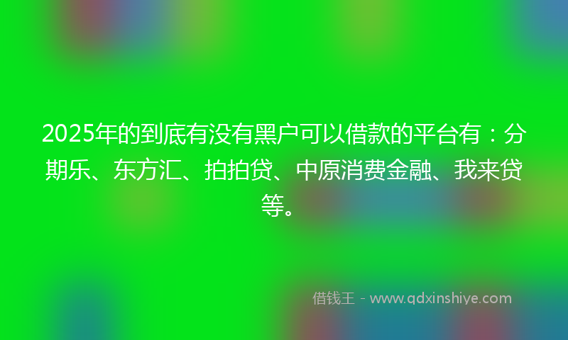 2025年的到底有没有黑户可以借款的平台有：分期乐、东方汇、拍拍贷、中原消费金融、我来贷等。