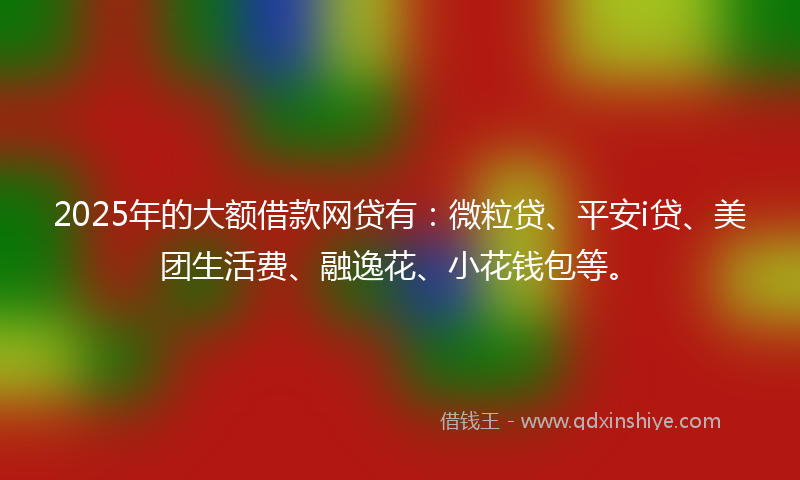 2025年的大额借款网贷有：微粒贷、平安i贷、美团生活费、融逸花、小花钱包等。