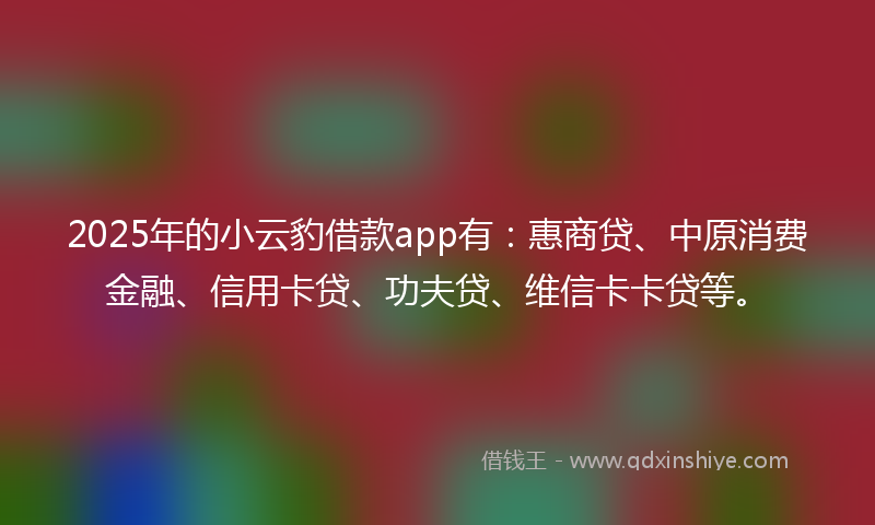 2025年的小云豹借款app有：惠商贷、中原消费金融、信用卡贷、功夫贷、维信卡卡贷等。