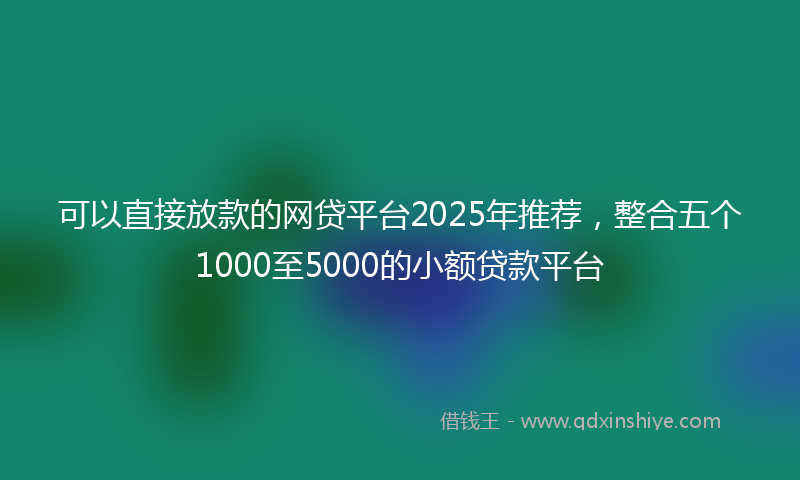 可以直接放款的网贷平台2025年推荐，整合五个1000至5000的小额贷款平台