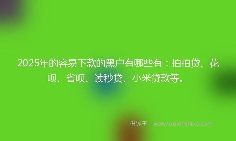 2025年的容易下款的黑户有哪些有：拍拍贷、花呗、省呗、读秒贷、小米贷款等。