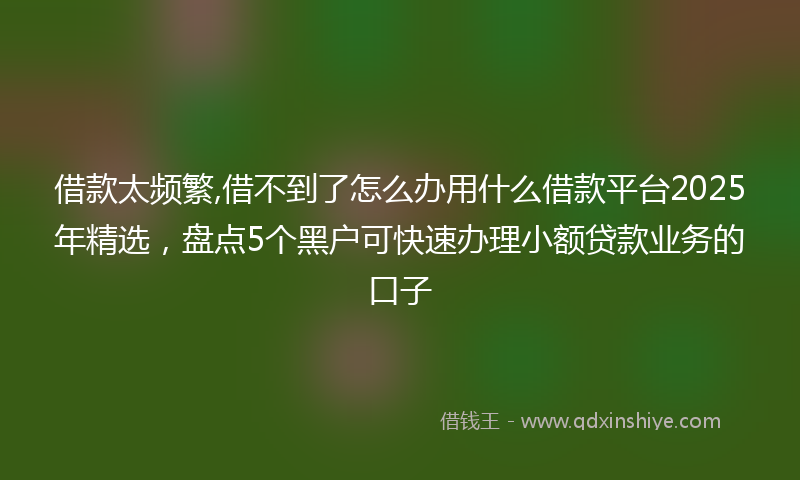 借款太频繁,借不到了怎么办用什么借款平台2025年精选，盘点5个黑户可快速办理小额贷款业务的口子