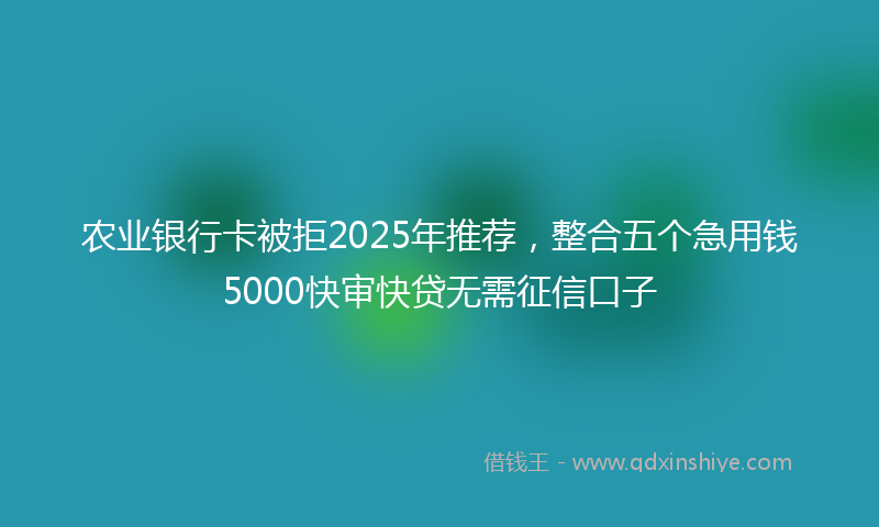 农业银行卡被拒2025年推荐，整合五个急用钱5000快审快贷无需征信口子