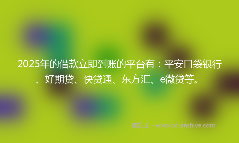 2025年的借款立即到账的平台有：平安口袋银行、好期贷、快贷通、东方汇、e微贷等。