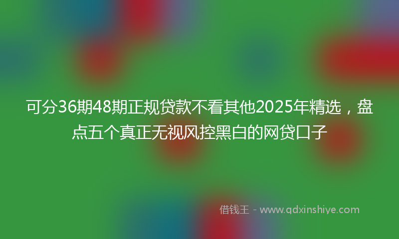 可分36期48期正规贷款不看其他2025年精选，盘点五个真正无视风控黑白的网贷口子