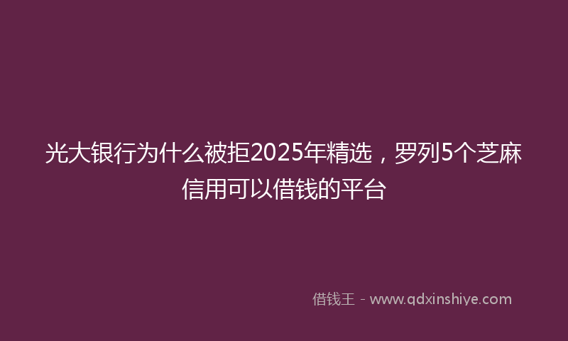 光大银行为什么被拒2025年精选，罗列5个芝麻信用可以借钱的平台