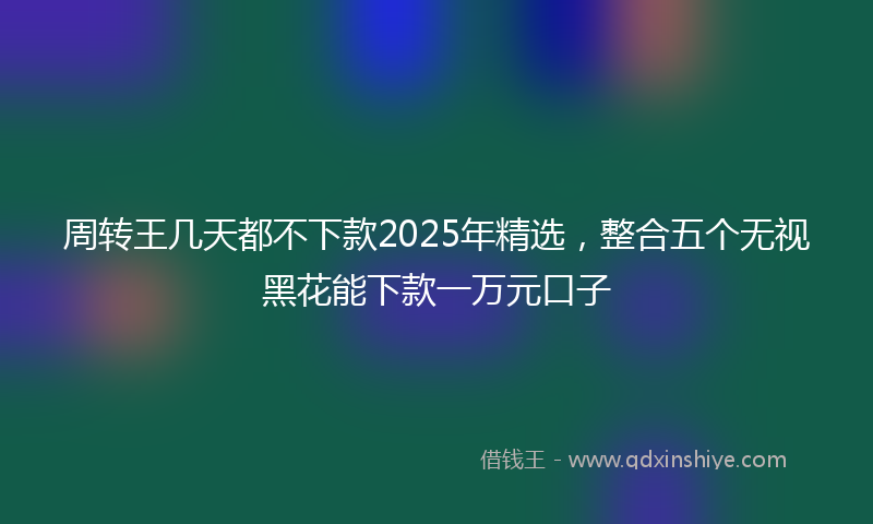 周转王几天都不下款2025年精选，整合五个无视黑花能下款一万元口子