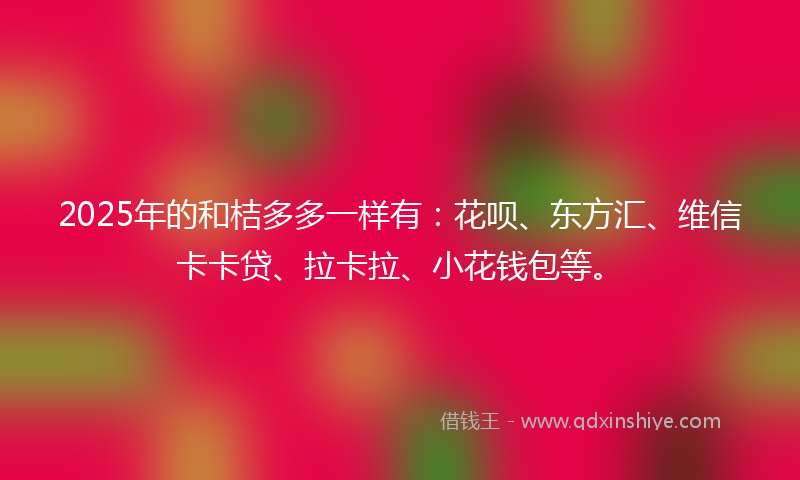 2025年的和桔多多一样有：花呗、东方汇、维信卡卡贷、拉卡拉、小花钱包等。