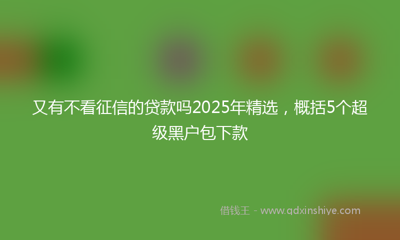 又有不看征信的贷款吗2025年精选，概括5个超级黑户包下款