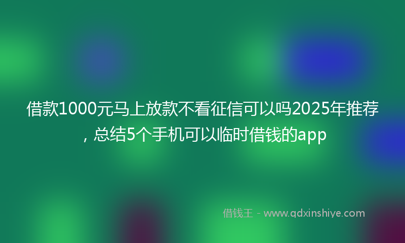借款1000元马上放款不看征信可以吗2025年推荐，总结5个手机可以临时借钱的app
