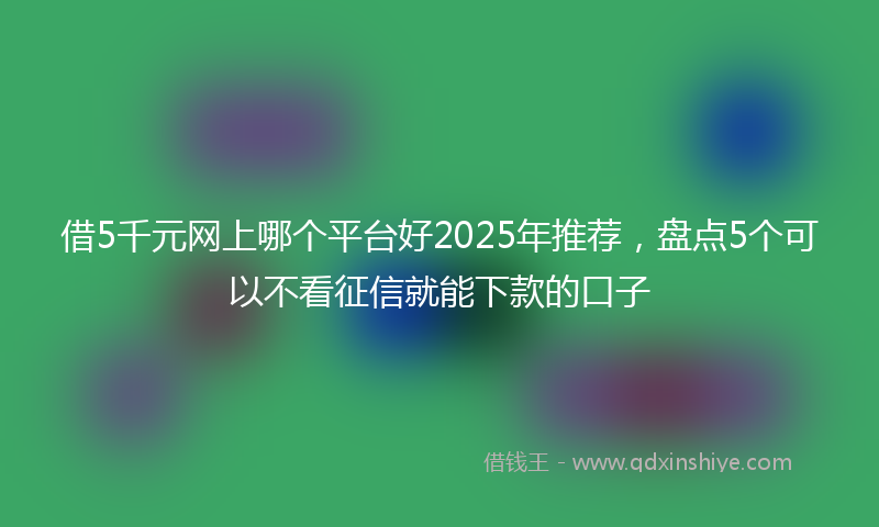 借5千元网上哪个平台好2025年推荐，盘点5个可以不看征信就能下款的口子
