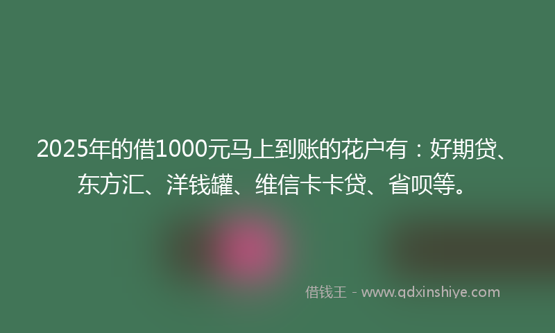2025年的借1000元马上到账的花户有：好期贷、东方汇、洋钱罐、维信卡卡贷、省呗等。