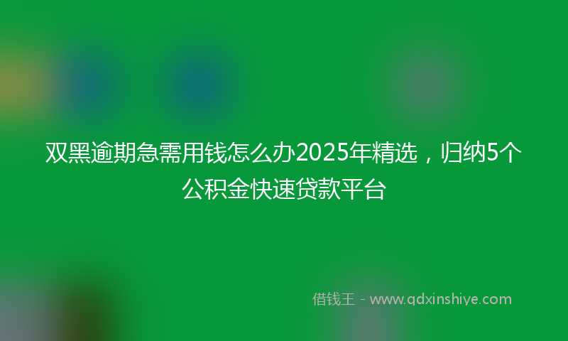 双黑逾期急需用钱怎么办2025年精选，归纳5个公积金快速贷款平台