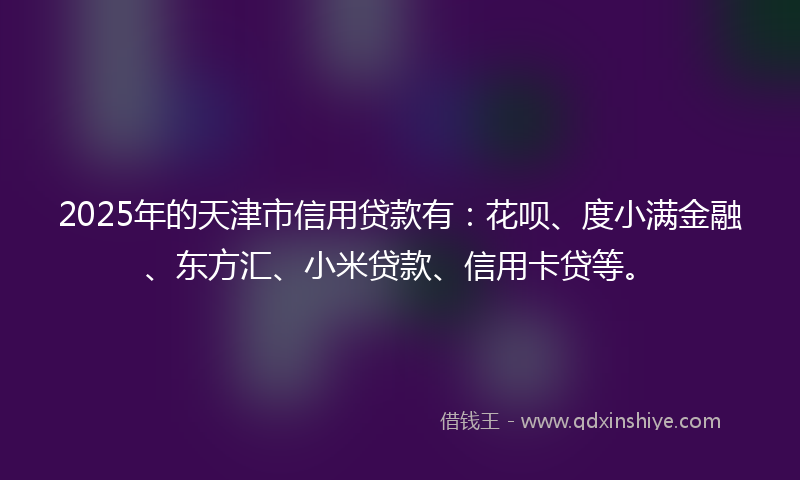 2025年的天津市信用贷款有：花呗、度小满金融、东方汇、小米贷款、信用卡贷等。