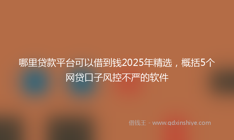 哪里贷款平台可以借到钱2025年精选，概括5个网贷口子风控不严的软件