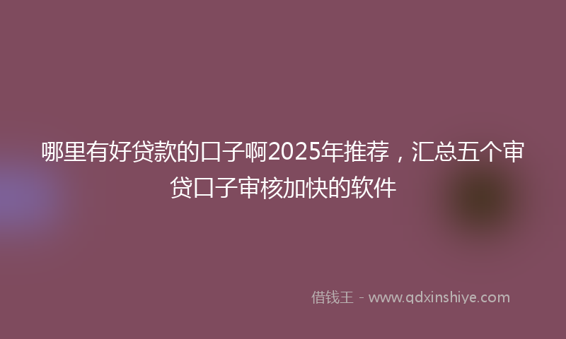 哪里有好贷款的口子啊2025年推荐，汇总五个审贷口子审核加快的软件