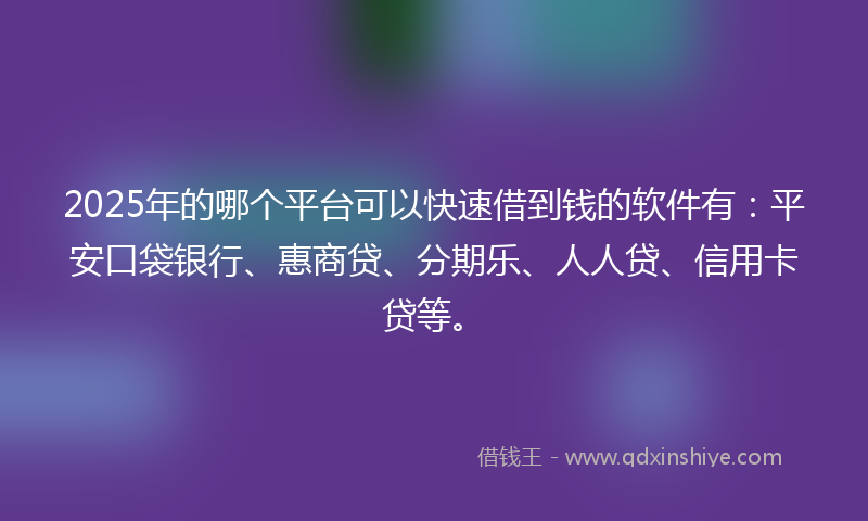 2025年的哪个平台可以快速借到钱的软件有：平安口袋银行、惠商贷、分期乐、人人贷、信用卡贷等。