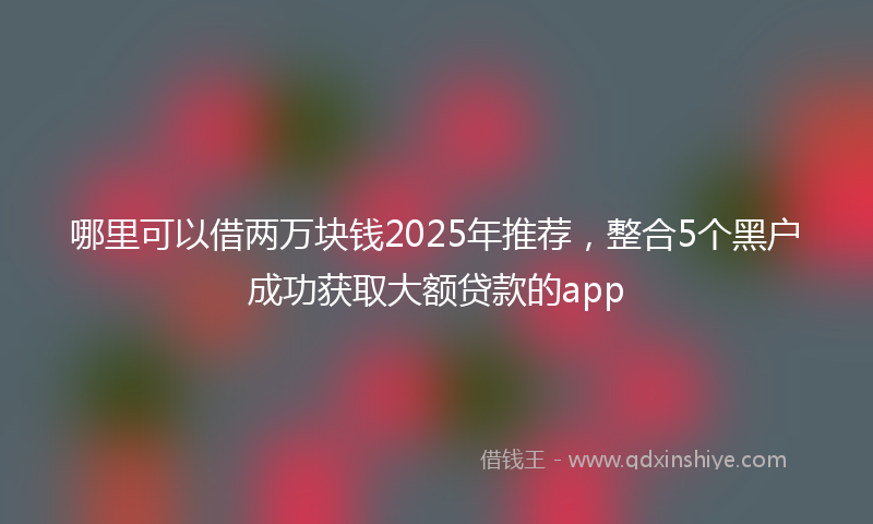 哪里可以借两万块钱2025年推荐，整合5个黑户成功获取大额贷款的app