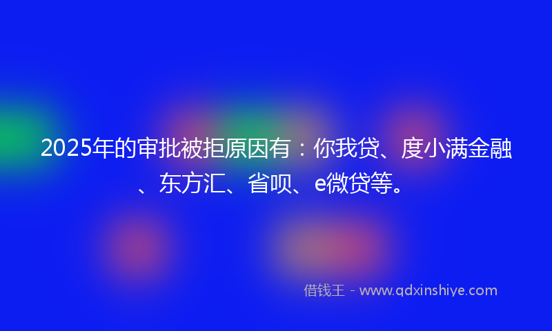 2025年的审批被拒原因有：你我贷、度小满金融、东方汇、省呗、e微贷等。