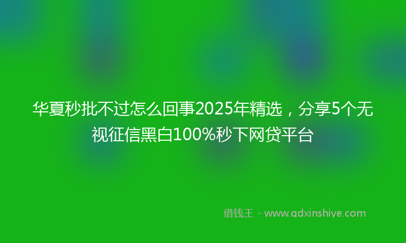 华夏秒批不过怎么回事2025年精选，分享5个无视征信黑白100%秒下网贷平台