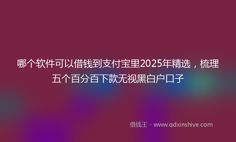哪个软件可以借钱到支付宝里2025年精选，梳理五个百分百下款无视黑白户口子