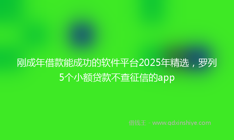 刚成年借款能成功的软件平台2025年精选，罗列5个小额贷款不查征信的app