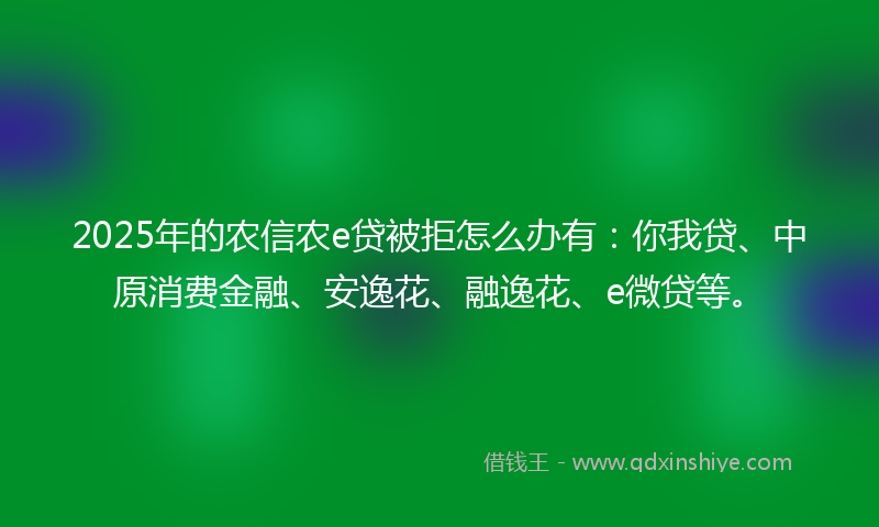 2025年的农信农e贷被拒怎么办有：你我贷、中原消费金融、安逸花、融逸花、e微贷等。