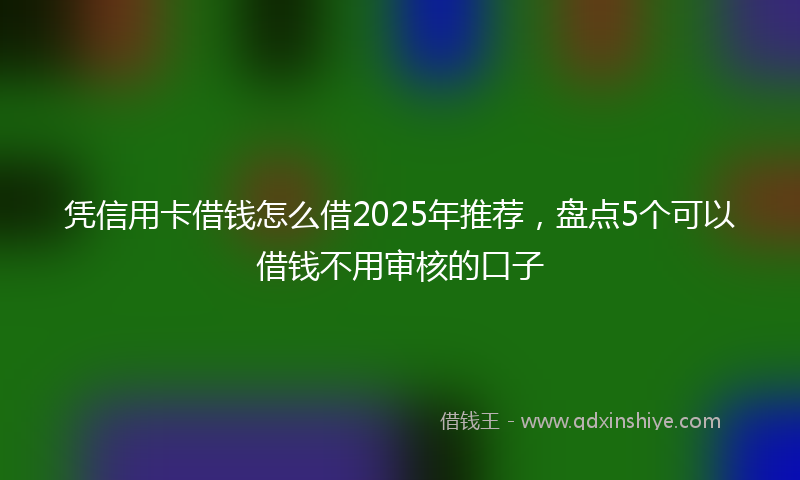 凭信用卡借钱怎么借2025年推荐，盘点5个可以借钱不用审核的口子