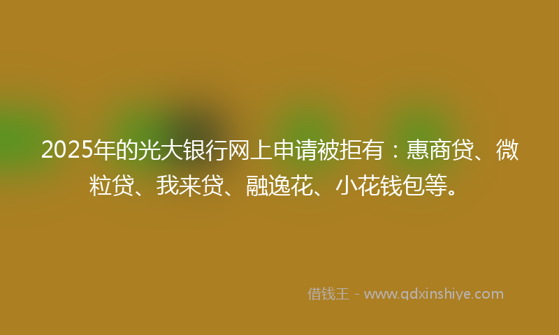 2025年的光大银行网上申请被拒有：惠商贷、微粒贷、我来贷、融逸花、小花钱包等。